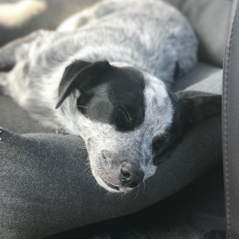 Meet your Posher, Mary